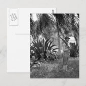 Carte Postale Cuba, Guantanamo Sentry sous palms_War Image (Devant / Derrière)