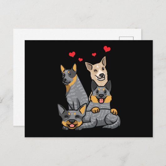 Carte Postale Cube Australian Cattle Dog Heeler (Devant / Derrière)