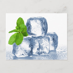 Carte Postale Cube de glace vous-même cool