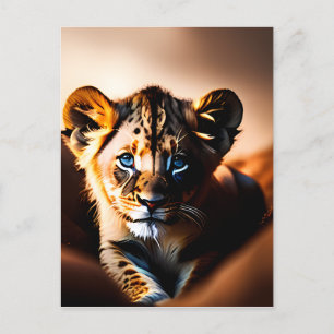 Carte Postale Cube Petit Lion Cub aux yeux bleus