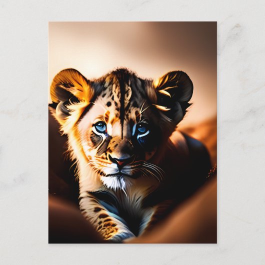 Carte Postale Cube Petit Lion Cub aux yeux bleus (Devant)