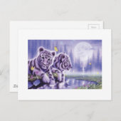 Carte Postale Cubes blancs de tigre (Devant / Derrière)