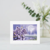 Carte Postale Cubes blancs de tigre (Debout devant)