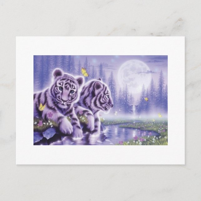 Carte Postale Cubes blancs de tigre (Devant)