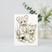 Carte Postale Cubes cubes de tigres blancs (Debout devant)
