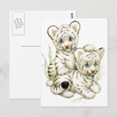 Carte Postale Cubes cubes de tigres blancs (Devant / Derrière)