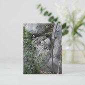 Carte Postale Cubes de léopard des neiges sur une haie (Debout devant)