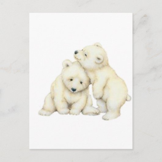Carte Postale Cubes d'ours polaires (Devant)