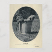 Carte Postale Cubes Otter (Devant)