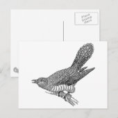 Carte Postale Cuckoo Bird Art (Devant / Derrière)