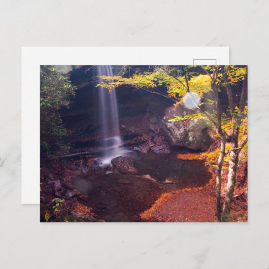 Carte Postale Cucumber Falls, Ohiopyle State Park, Pennsylvanie (Devant / Derrière)