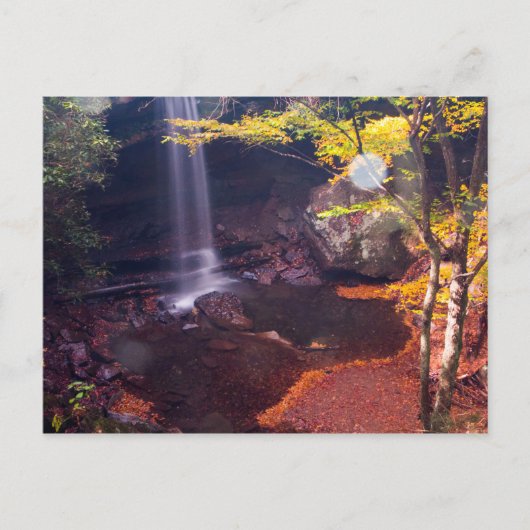 Carte Postale Cucumber Falls, Ohiopyle State Park, Pennsylvanie (Devant)