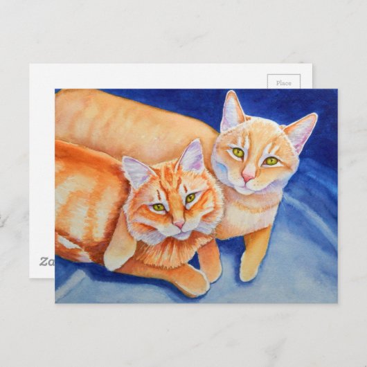 Carte Postale Cuddin de Tabby Orange (Devant / Derrière)