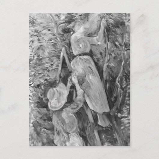 Carte Postale cueillette de cerises, 1891 (Devant)