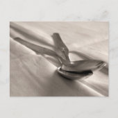 Carte Postale Cuillères (Devant)