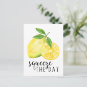 CARTE POSTALE CUISINE MODERNE PUN DE CITRON (Debout devant)