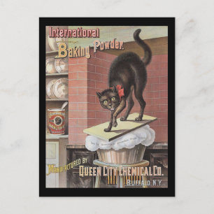 Carte Postale Cuisson de chat noir Soda Buffalo New York