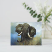 Carte Postale Cuisson, éléphants (Debout devant)