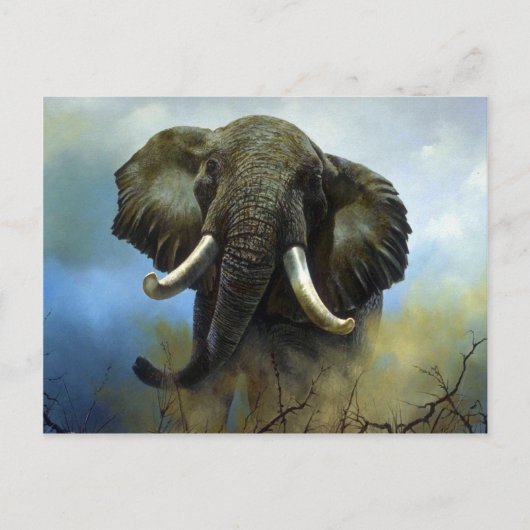 Carte Postale Cuisson, éléphants (Devant)