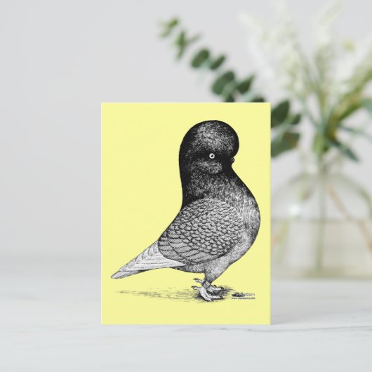 Carte Postale Culbuteur andalou (Debout devant)