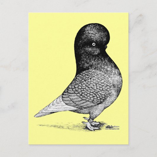 Carte Postale Culbuteur andalou (Devant)