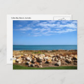 Carte postale Cullen Bay (Devant / Derrière)