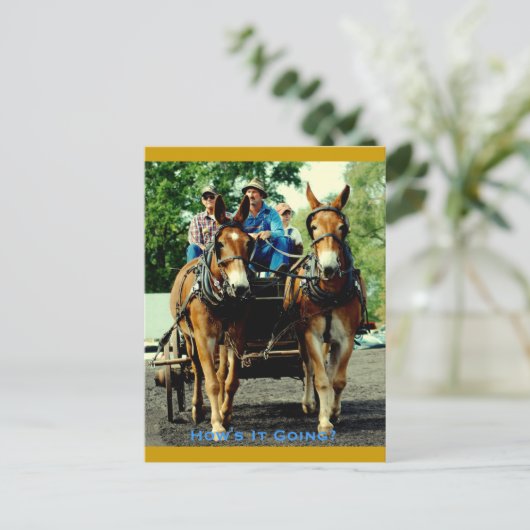 Carte Postale culpeper va version provisoire (Debout devant)