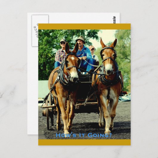 Carte Postale culpeper va version provisoire (Devant / Derrière)