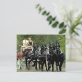 Carte Postale culpeper va version provisoire (Debout devant)