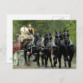 Carte Postale culpeper va version provisoire (Devant / Derrière)