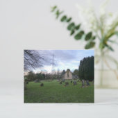 Carte Postale Culross West Kirk : Emplacement du film Outlander (Debout devant)