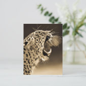 Carte Postale Cultivant Leopard (Debout devant)