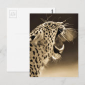 Carte Postale Cultivant Leopard (Devant / Derrière)