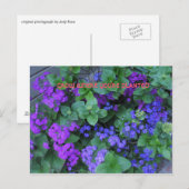 Carte Postale cultiver là où vous êtes planté (Devant / Derrière)