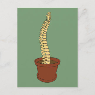 Carte Postale Cultiver Une Spine
