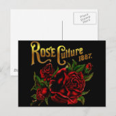 Carte Postale Culture rose 1887 (Devant / Derrière)