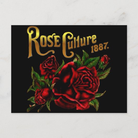 Carte Postale Culture rose 1887 (Devant)