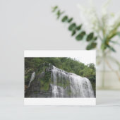 Carte Postale Cummins Falls, TN (Debout devant)