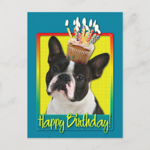Carte Postale Cupcake anniversaire - Boston Terrier