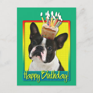 Carte Postale Cupcake anniversaire - Boston Terrier