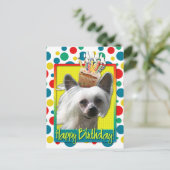 Carte Postale Cupcake Anniversaire - Crested Chinois - Kahlo (Debout devant)