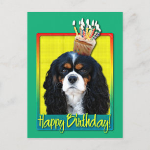 Carte Postale Cupcake d'anniversaire - Cavalier - Tri-Color