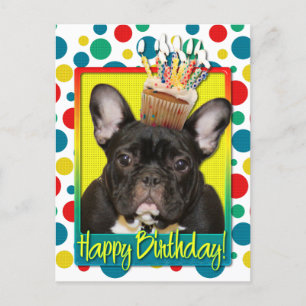 Carte Postale Cupcake d'anniversaire - Chien de taureaux françai