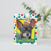 Carte Postale Cupcake d'anniversaire - Chihuahua - Isabella (Debout devant)