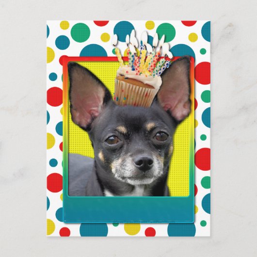 Carte Postale Cupcake d'anniversaire - Chihuahua - Isabella (Devant)