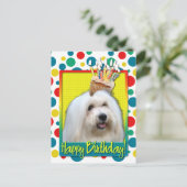 Carte Postale Cupcake d'anniversaire - Coton de Tulear (Debout devant)