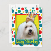 Carte Postale Cupcake d'anniversaire - Coton de Tulear (Devant / Derrière)