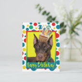 Carte Postale Cupcake d'anniversaire - Doberman - Rouge - Rocky (Debout devant)
