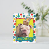 Carte Postale Cupcake d'anniversaire - Pitbull - Jersey Girl (Debout devant)