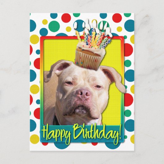 Carte Postale Cupcake d'anniversaire - Pitbull - Jersey Girl (Devant)